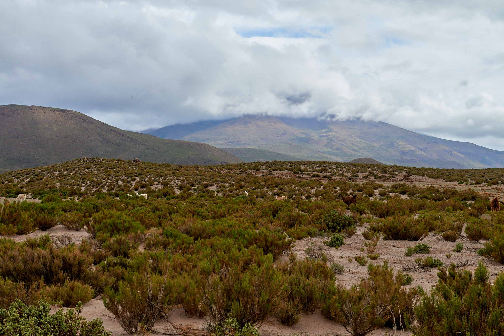 20200313 433 [볼리비아] 산 후앙